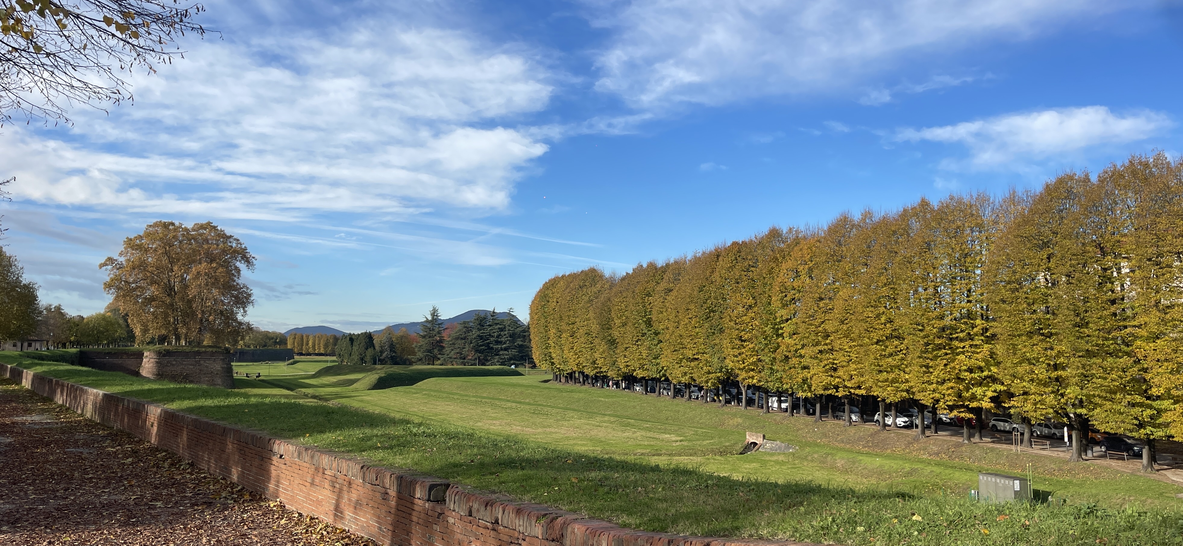 Lucca Wall 1