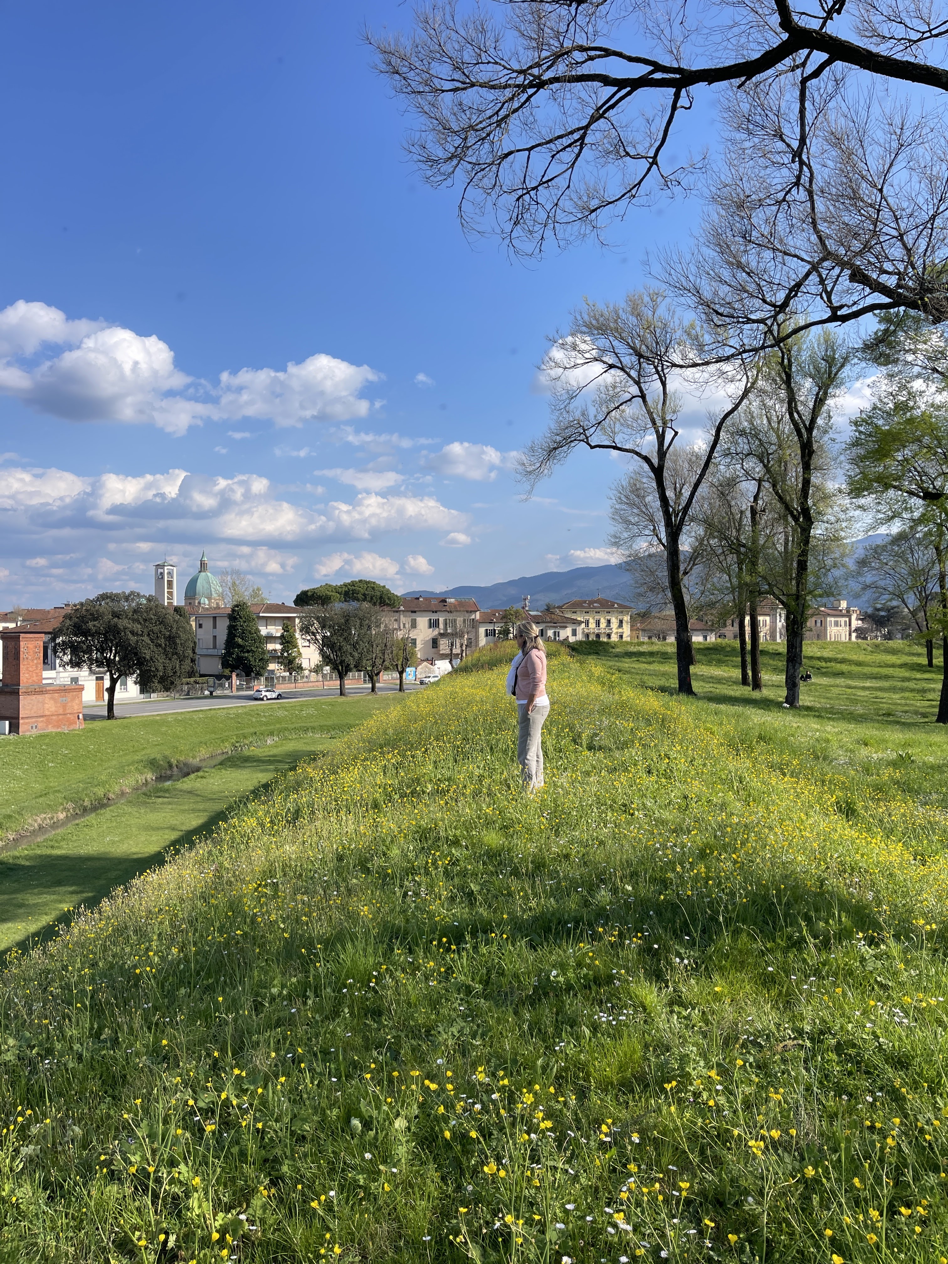 Lucca Wall 2